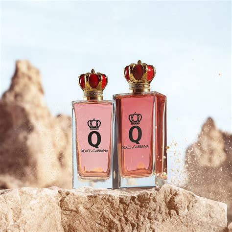 cappottieleganti dolce gabbana|Q by Dolce&Gabbana Eau de Parfum Intense .